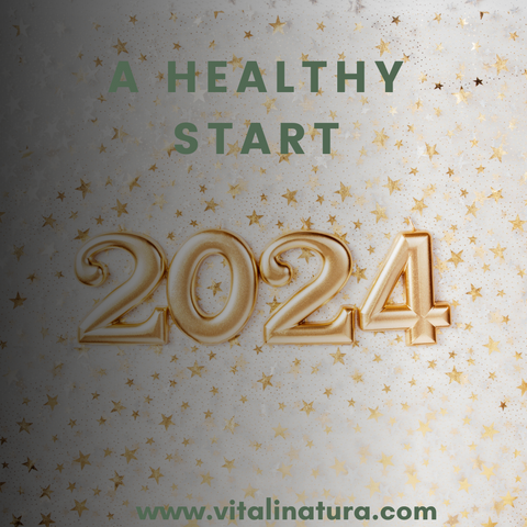 2024 A Healthy Start