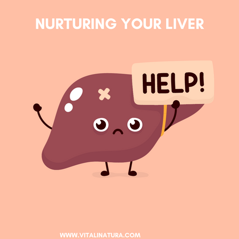 Nurturing your Liver: Liver Health