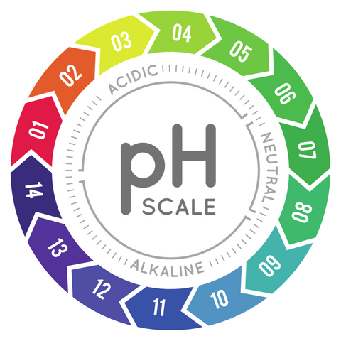 The Role of PH in the body
