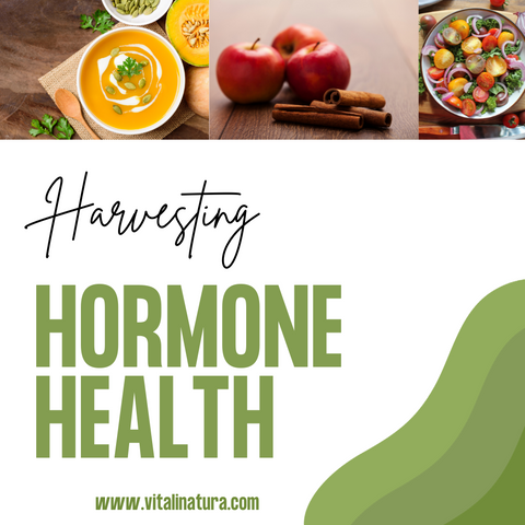 Seasonal Recipes for Hormonal Health