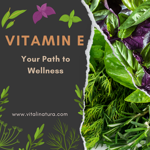 Vitamin E: Your Path to Wellness