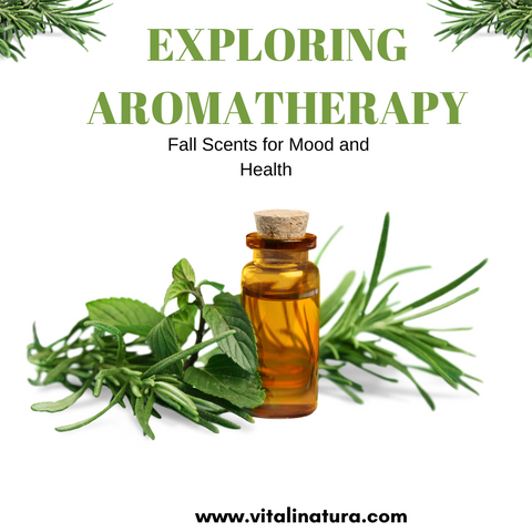 Exploring Aromatherapy