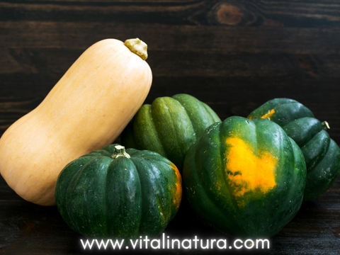 Why We Love Squash and Why You Should Too